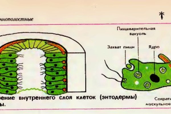 Кракен браузер ссылка