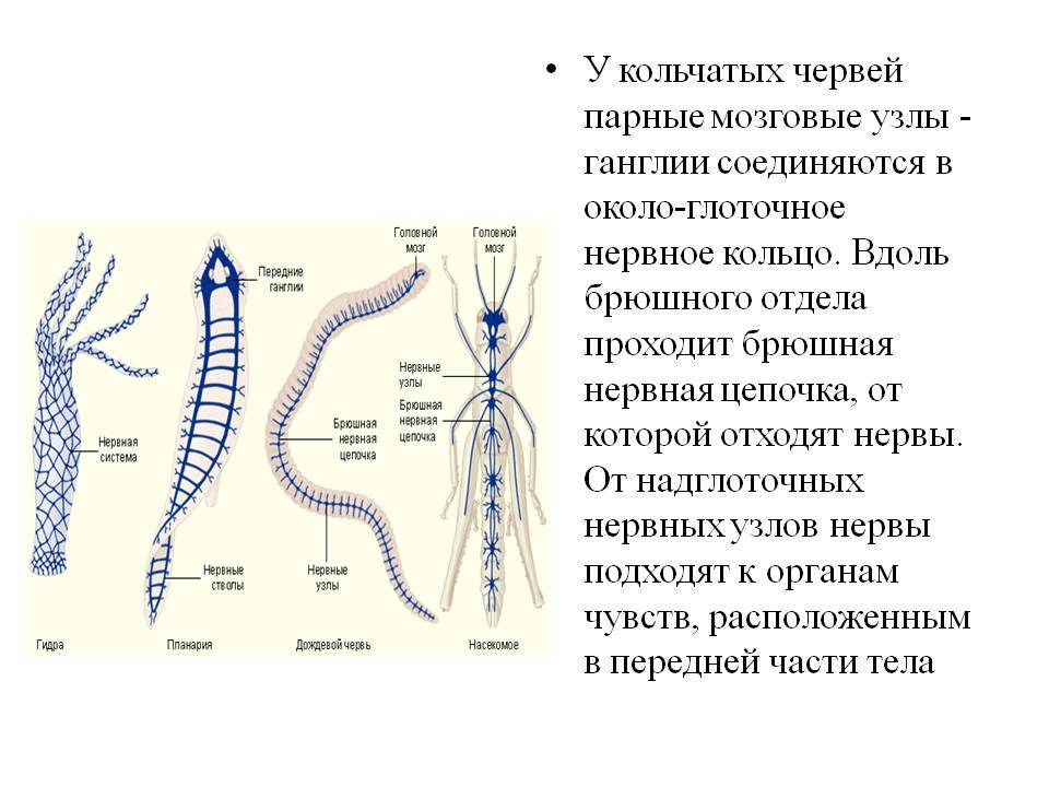 Взломали аккаунт на кракене что делать